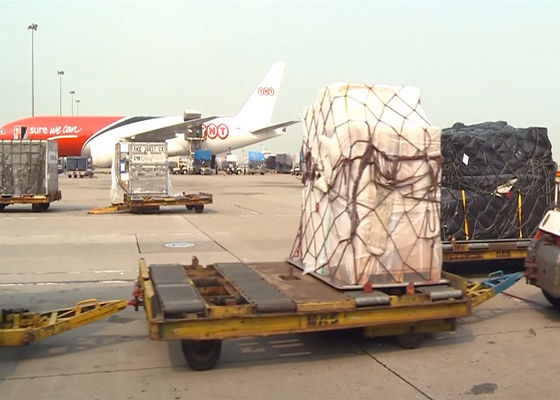 DHL porta a porta affidabile Trasporto aereo internazionale di merci Servizio in tempo reale