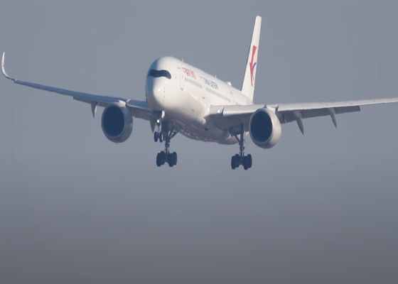 Affidabile DDP Freight aereo Cargo estero Logistica internazionale