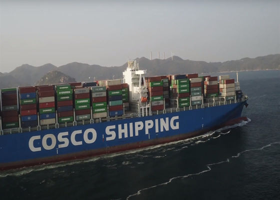 DDU Servizio di spedizione internazionale porta a porta via mare da Guangzhou