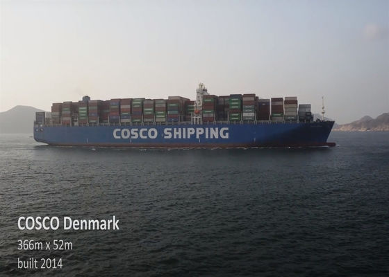 FCL International Sea Freight Goods Delivery DDP DDU dalla Cina al Messico Canada