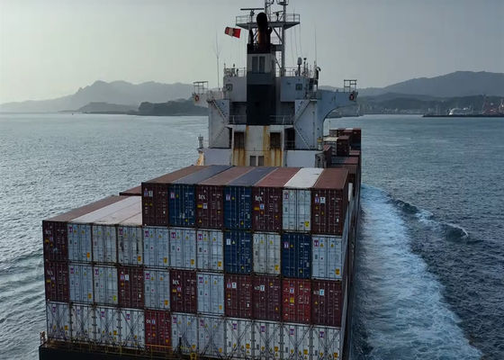 FCL International Sea Freight Goods Delivery DDP DDU dalla Cina al Messico Canada