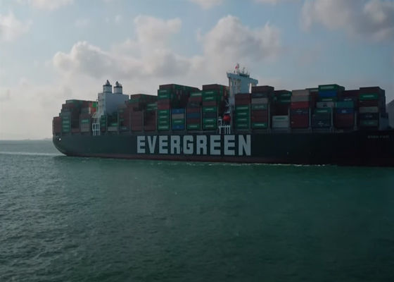 FCL International Sea Freight Goods Delivery DDP DDU dalla Cina al Messico Canada