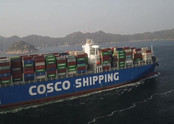 FCL Spedizionieri Marittimi Cina-Australia Trasporto logistico globale