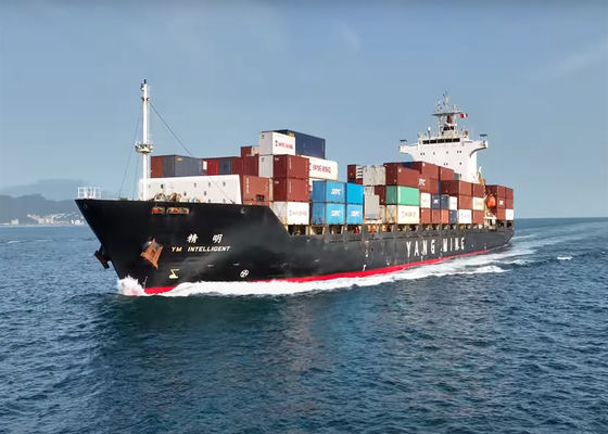 Port To Port PTP Trasporto marittimo internazionale dalla Cina al Canada Contenitori FCL