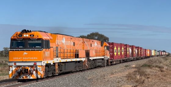 Servizio porta a porta per le società di spedizione ferroviaria DDP da Cina all'Europa