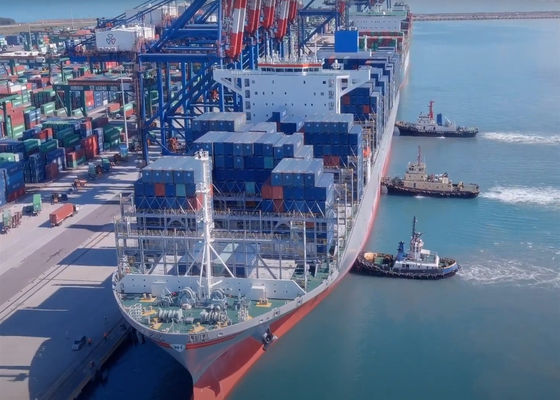 LCL FCL Trasporti marittimi internazionali Guangzhou To Worldwide Global Ocean Shipping