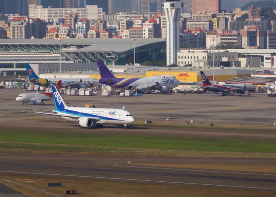 Consegna di merci di trasporto internazionale dalla Cina al Regno Unito DDP